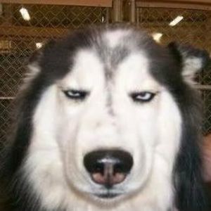 Meet your Posher, Roderick